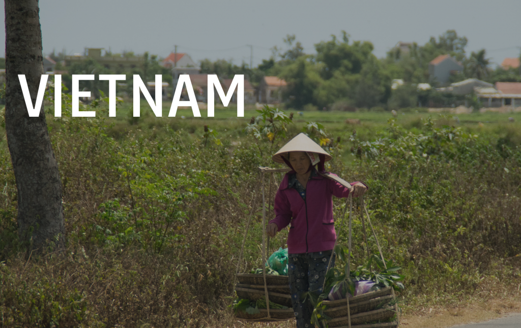 Viatge a vietnam
